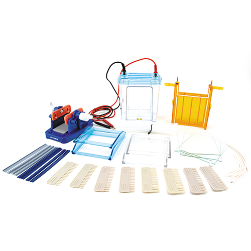 北京六一DYCZ-24EN雙垂直電泳儀(中號)